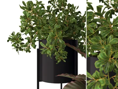 plants 05 3D model