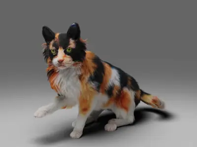 Fur Calico Cat V04 Rigged Low-poly 3D model