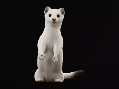 Ermine Stoat Weasel Low-poly 3D model
