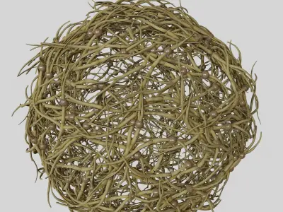 Tumbleweed stylized 3D model