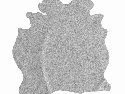 Cowhide Rug Brown 3D model