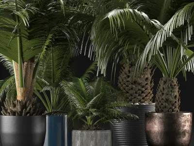 Plants Collection 16 3D model