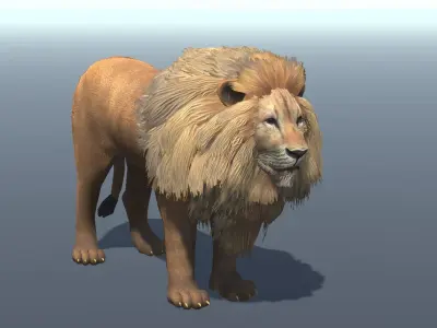 Lowpoly Male Lion Rigged and Animated for VR AR Games Low-poly 3D model