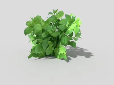 Low poly Plant Low-poly 3D model