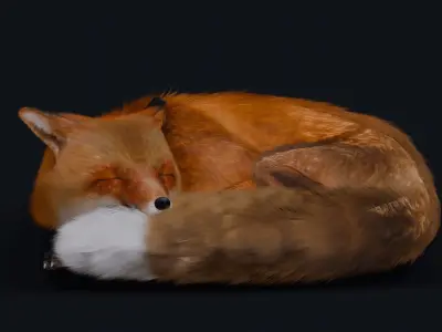 Red Fox 3D model