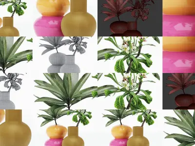 Flowers in vases collection