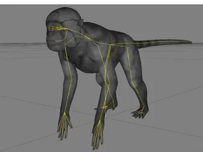 Animal - Monkey Low-poly 3D model