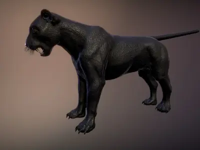 Panthers pack Low-poly 3D model