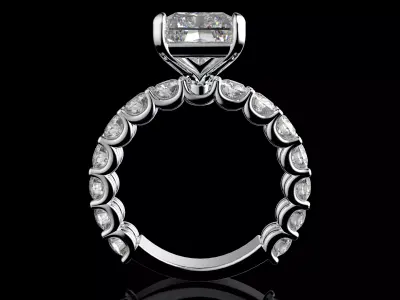 Gold N1565 3D print model