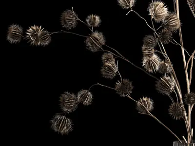 Bouquet Of Dried Flowers From Thorn And branches 3D model