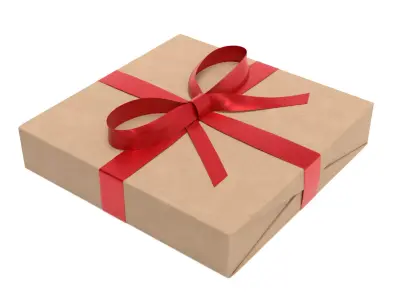 Wrapped Gift Box PBR 12 3D model