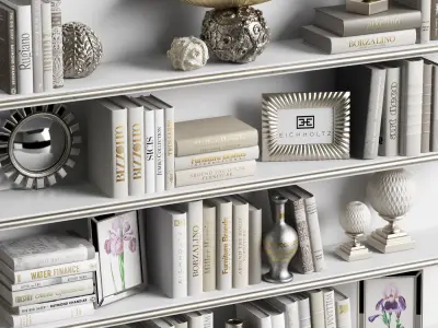 Decor Set 9 shelf with books and flowers 3D model