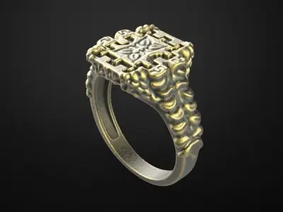 Man ring model special style 3D print model