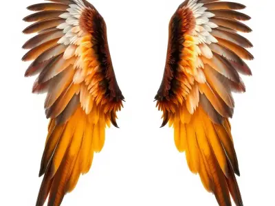 Majestic Orange Wings model pack Low-poly 3D model