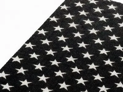 Restoration Hardware Liberty Star Flatweave Rug 3D model