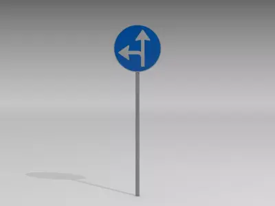 Turn left or straight 3D model