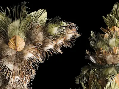 Christmas tree for decoration from dry fan palm leaves 3D model