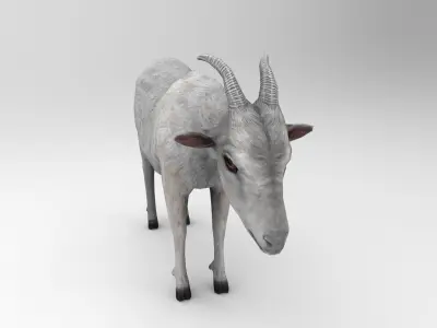 Goat Rigged model Low-poly 3D model