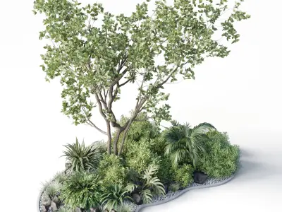 garden pot tree bush Collection outdoor indoor 113 3D model