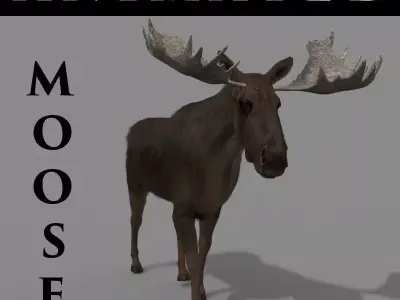 Virtual Moose 3d model 3D model