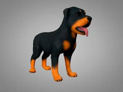 Dog Rottweiler Low-poly 3D model