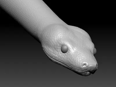 Boa Constrictor Zbrush Model 3D model