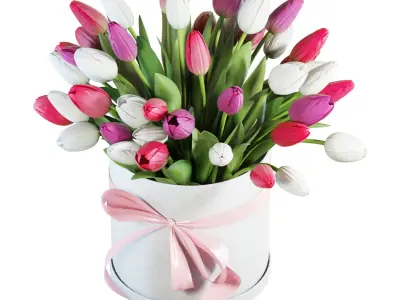 Flower Set 21 - Pink and White Tulips Bouquet 3D model