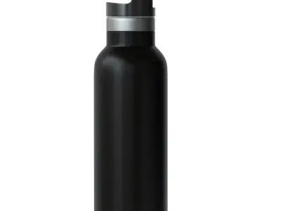 Water Bottle 3D model