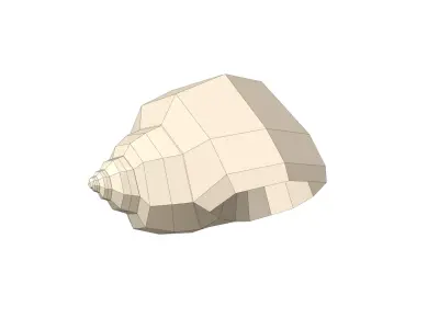 Shell geometry 3D model