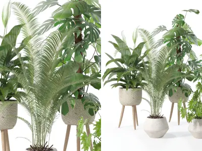 Plants collection 121 3D model