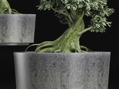 Plants Collection 148 Sageretia Theezans 3D model