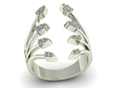  Women Ring  3D print model