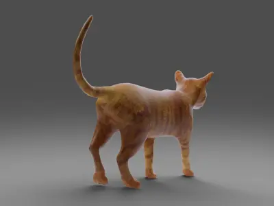 Cat Yellow V3 NO Rigged  Low-poly 3D model