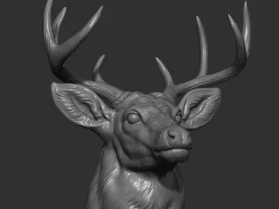 White tailed deer bust 3D print model