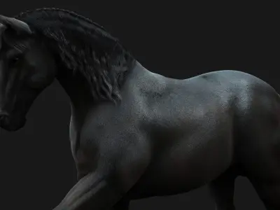 Horse Black RIG  XGEN 3D model