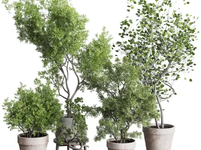 Tree and Bush in an old earthenware vase indoor collection 339 Low-poly 3D model