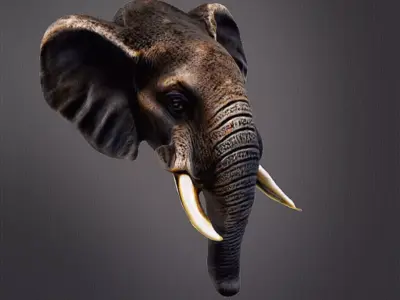 Elephant head wall decor 3D print model