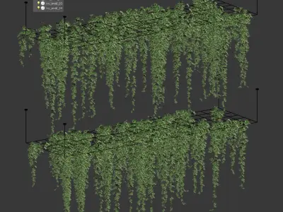 Ivy hanging from the ceiling on a trellis - 6 models 3D model