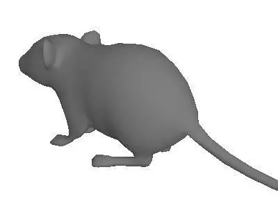 Low Poly Mouse rat Low-poly 3D model purchase