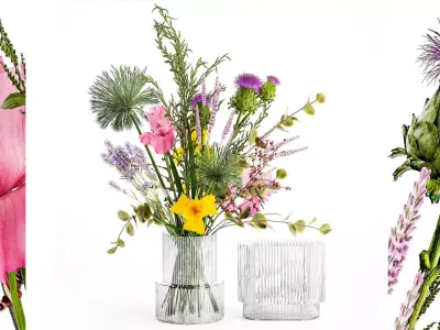 Bouquet of flowers thistle branches iris lavender barberry 376 3D model