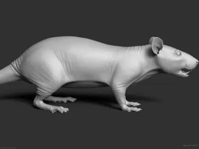 Rat - Highpoly Sculpture 3D model