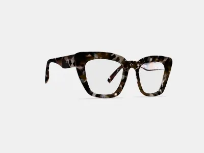 Lorena Eyeglasses in Black Currant Tortoise 3D model