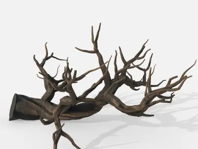 Aquarium Snag V21 3D model