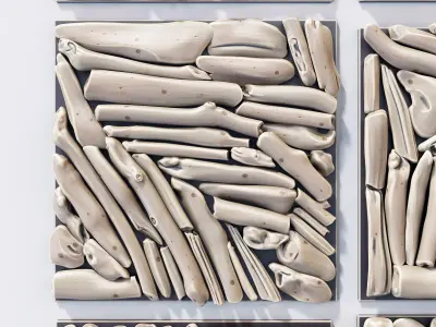 Rectangle  panel branch splinter Big n6 3D model