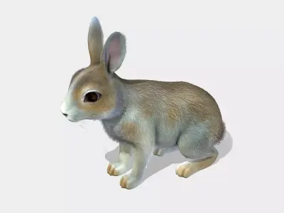 Bunny rabbit Low-poly 3D model purchase