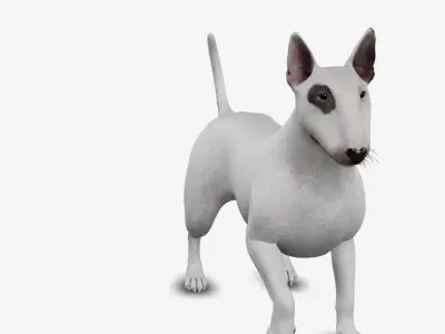 dog bull terrier Low-poly 3D model
