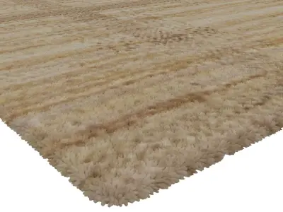 Rug Set 2006 3D model