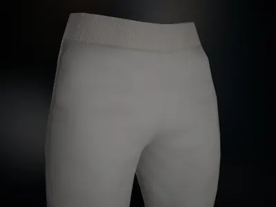 Gray Sport Pants Low-poly 3D model