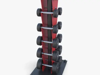 Vertical dumbbell rack 3D model