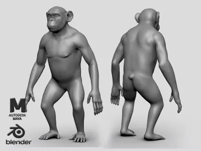 Chimp BaseMesh Low-poly 3D model